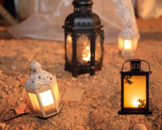 Electric Candle Warmer Lamps, Beautiful and Budget Friendly.